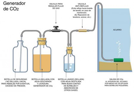 se hacen sistema de co2 casero preguntar precios o se cambia por plantas peces o se habla para llegar a un acuerdo